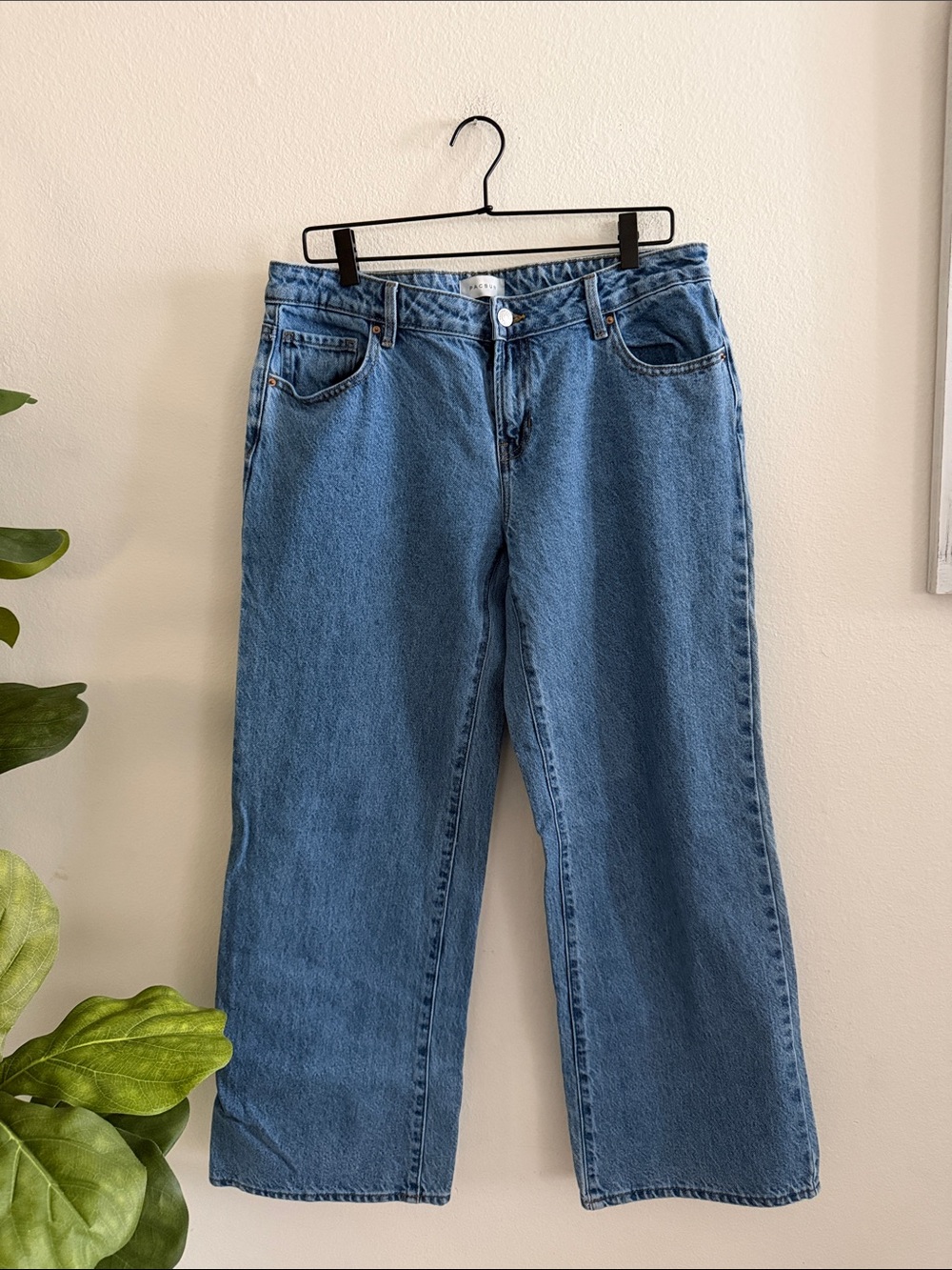 Pacsun Low Rise Girlfriend Jean